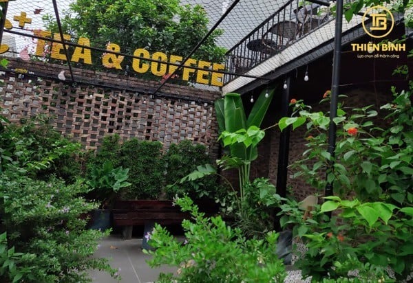 Cung cấp tủ bánh kem cho C+ Coffee - Vĩnh Phúc 2 Không gian C+ Coffee