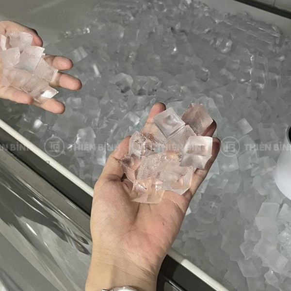 Máy làm đá viên TurboGold TGI-280C 127kg/24h 5 Đá viên size 22x22x22mm