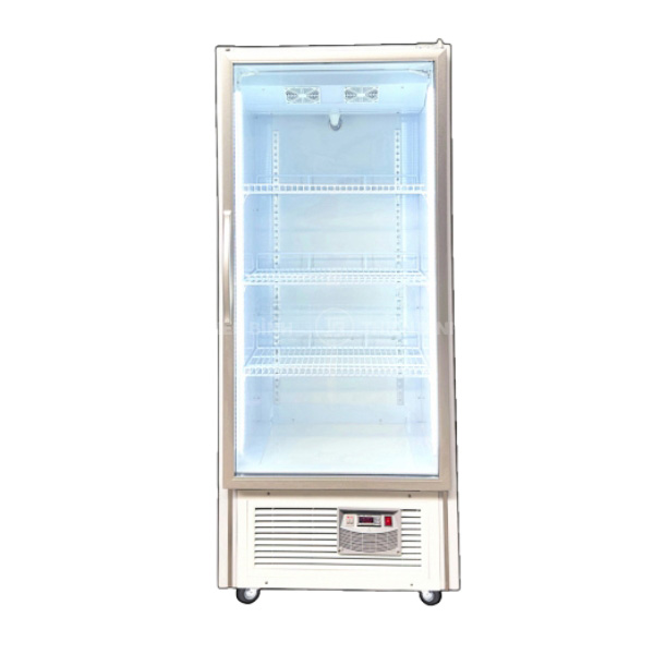 Tủ mát trưng bày 1 cánh kính Snow Village LC-500A